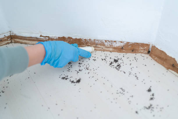 Best Exterminator Services  in Harrisburg, PA